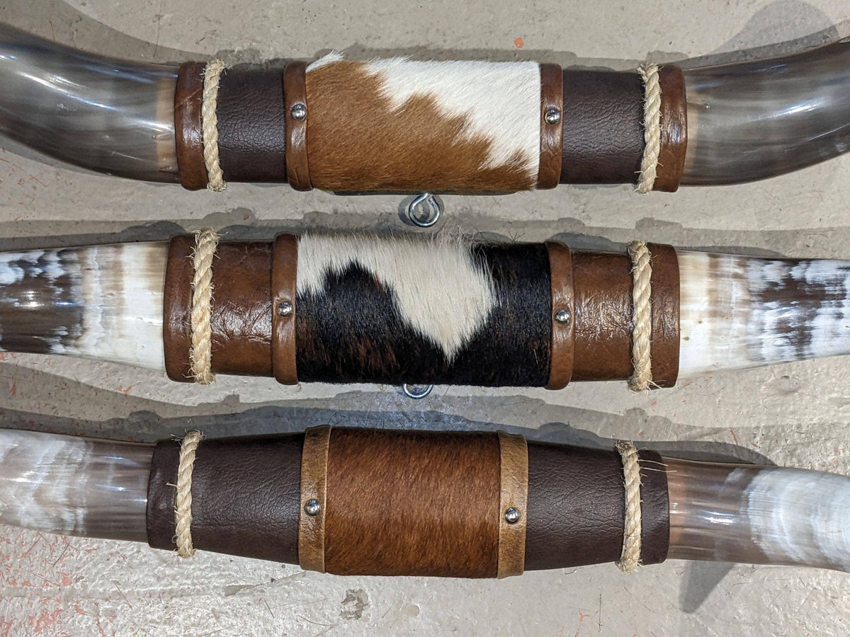 Small Steer Horns 18"-22"