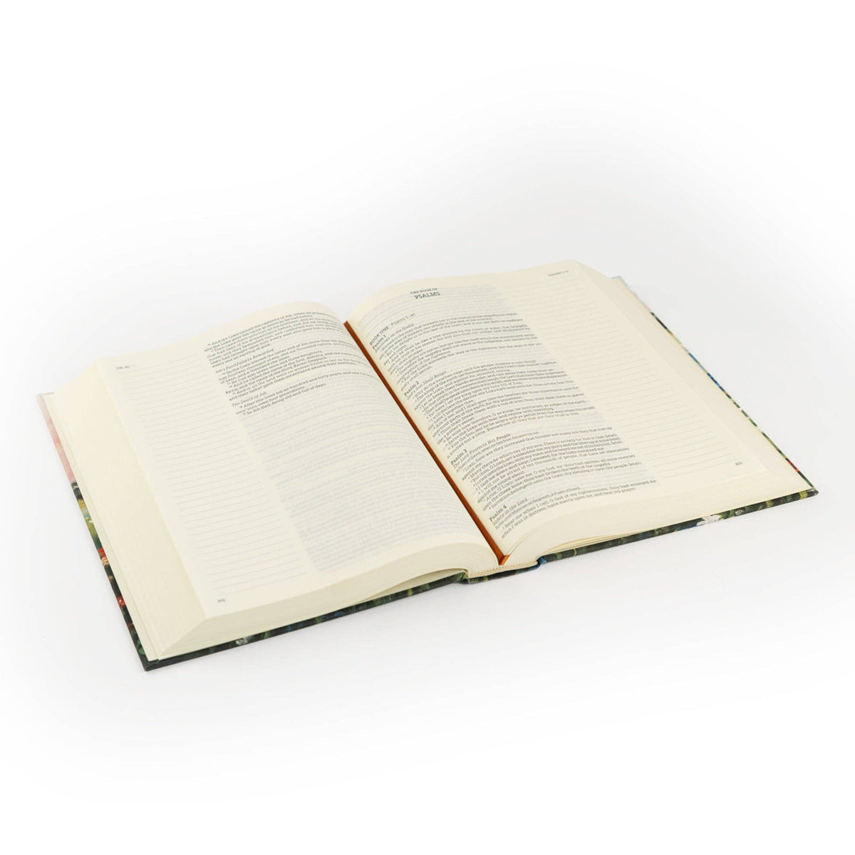 KJV Large Print Notetaking Bible: Coram Theme