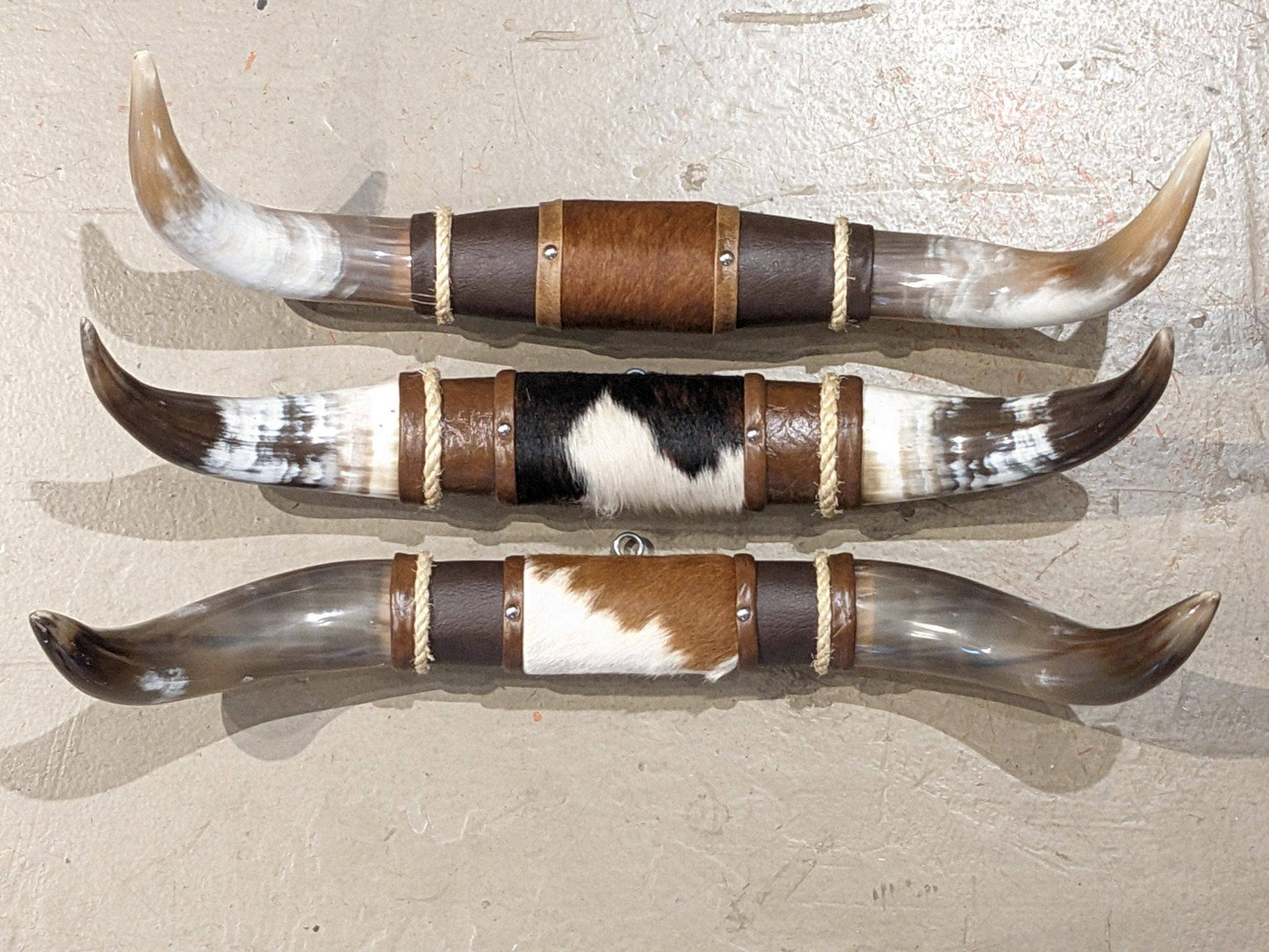 Small Steer Horns 18"-22"