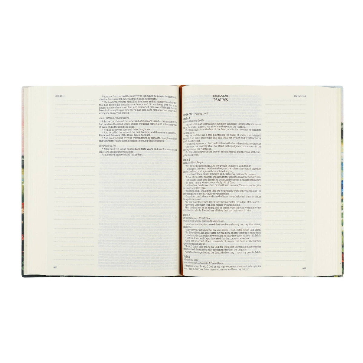KJV Large Print Notetaking Bible: Coram Theme